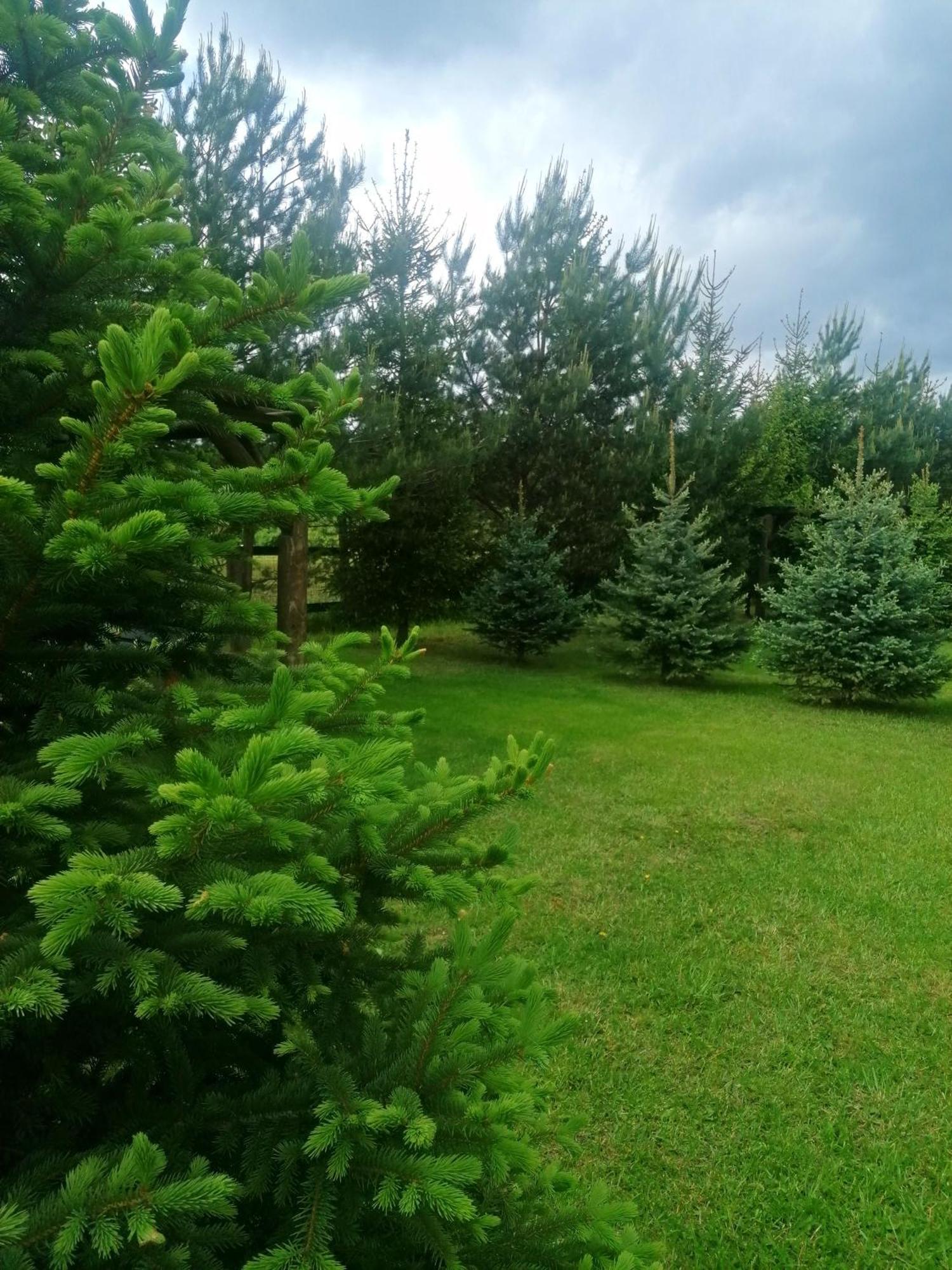 Hotel Camp Pacho Prievidza Esterno foto